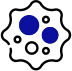 Cell Plating and Media Replacement