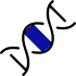 Plasmid Construction