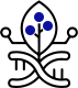 Synthetic Biology Research